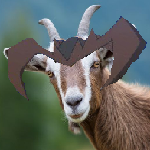 Regular Goat's Avatar